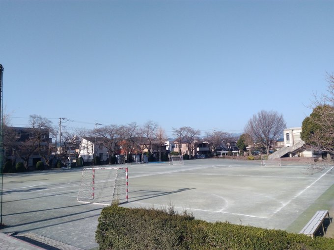 聖望学園校庭の桜は本日開花宣言致します🌸\(^-^)/ #ヤマノススメ 聖望学園校庭の桜は本日開花宣言致します🌸\(^-^)/ #ヤマノススメ