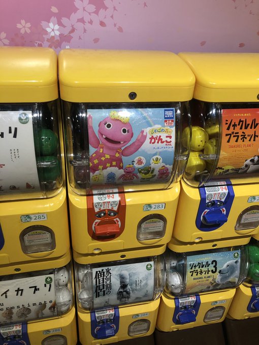 台湾からがんこちゃんクラスタのみなさんへ🐌うんち!(せいかいのおと) 台湾からがんこちゃんクラスタのみなさんへ🐌うんち!(せいかいのおと)
