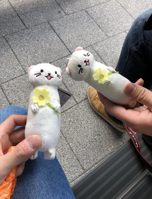 さいだーさんとオコジョ連番 #オコジョとヤマネ さいだーさんとオコジョ連番 #オコジョとヤマネ
