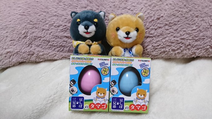ジロ「やっと、家にもタマゴが来たワンッ🐶🐾」主「ほらタマゴだよ(^ω^)」『バキっ!!』タロ「ご主人様、力入れ過ぎて割れ ジロ「やっと、家にもタマゴが来たワンッ🐶🐾」主「ほらタマゴだよ(^ω^)」『バキっ!!』タロ「ご主人様、力入れ過ぎて割れ