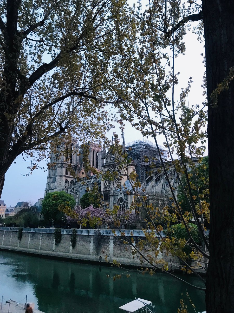 RT @AgnesCPoirier: Look at this. Isn’t she still the most beautiful? #NotreDame https://t.co/ouMobB5Axp