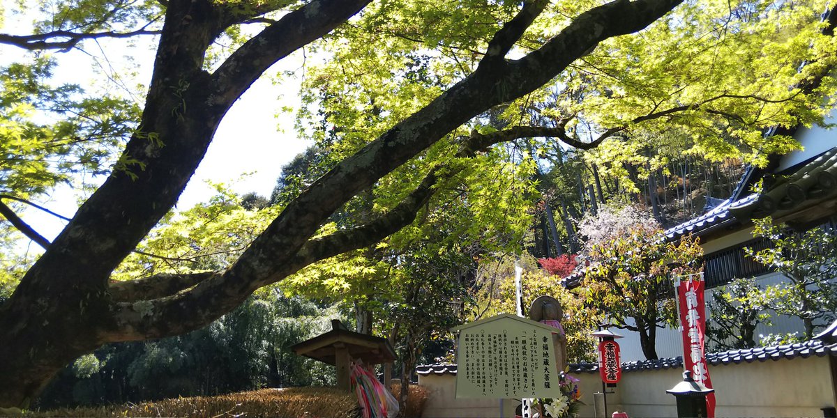 昨日、鈴虫寺へ。一つだけ願いを叶えてくれるというわらじを履いたお地蔵様。鈴虫寺からの景色。小さく京都タワーが見える。...