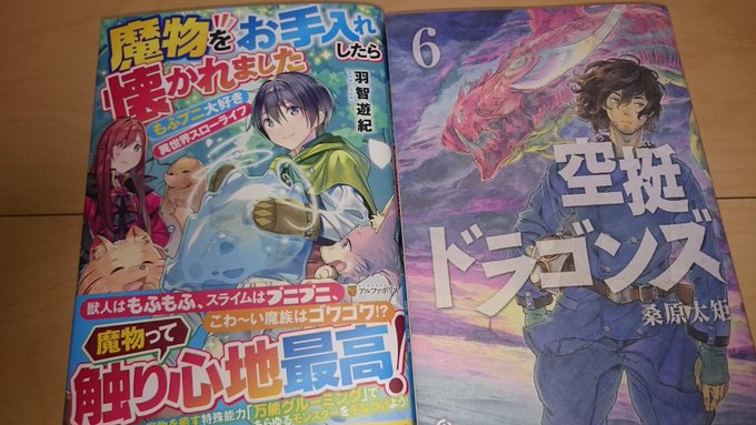 本日の本空挺ドラゴンズと魔物をお手入れ! 本日の本空挺ドラゴンズと魔物をお手入れ!