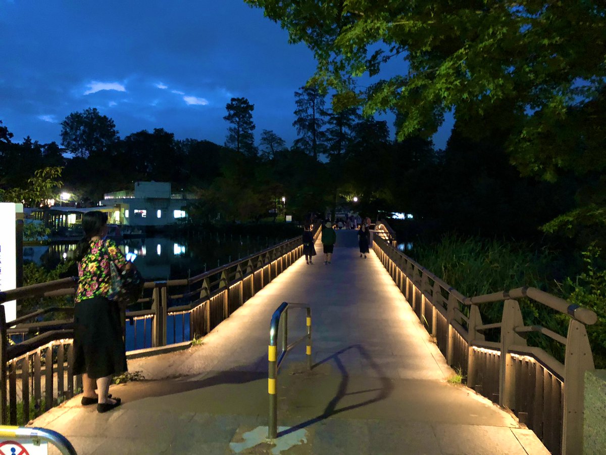 井の頭公園NICEな照明 #NICE #井の頭公園 #夜景 #照明 https://t.co/R2nEAnOaRr