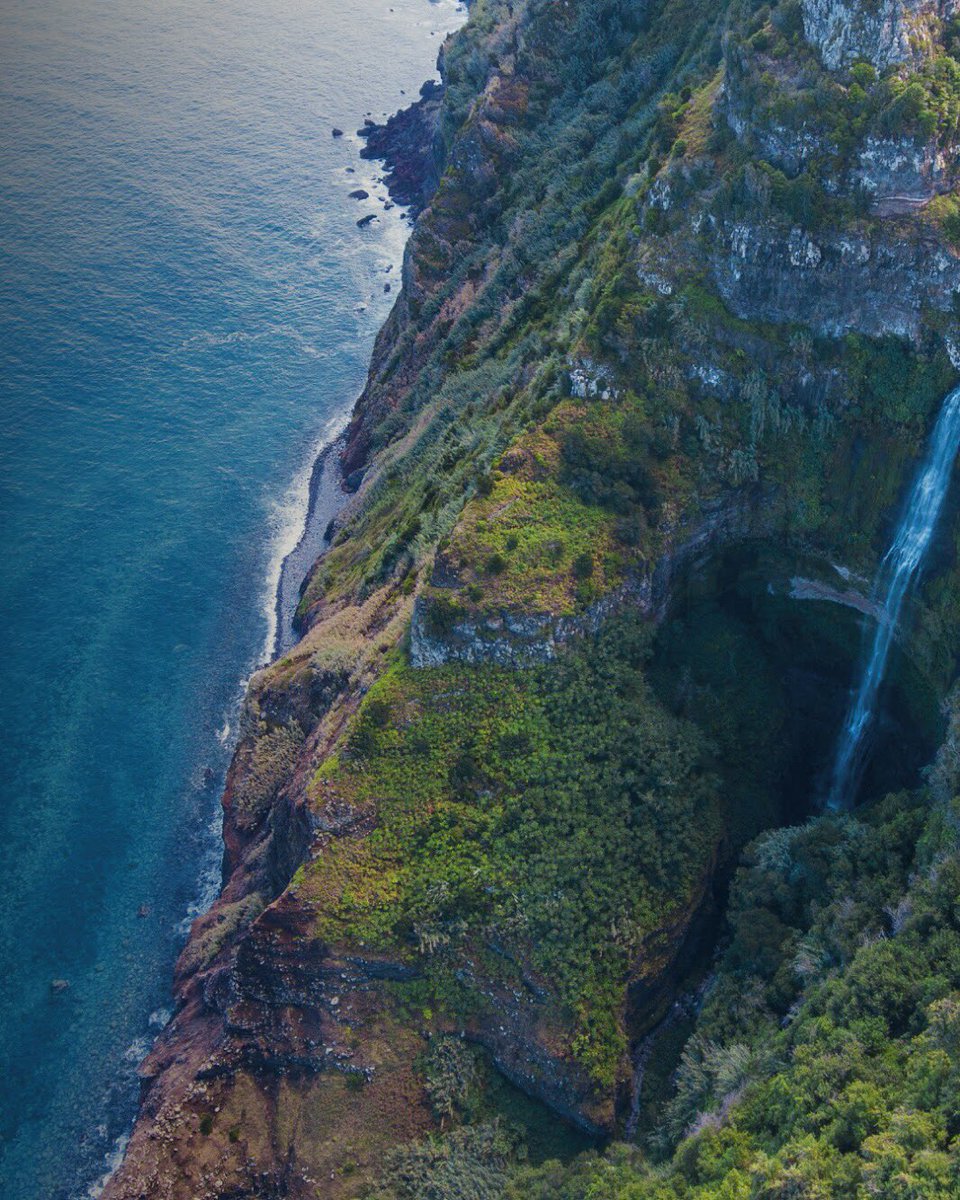 It’s time to elect Madeira as Best European Island Destination again! Vote here: https://t.co/gJEZT7Tddv https://t.co/chezu4T0fX