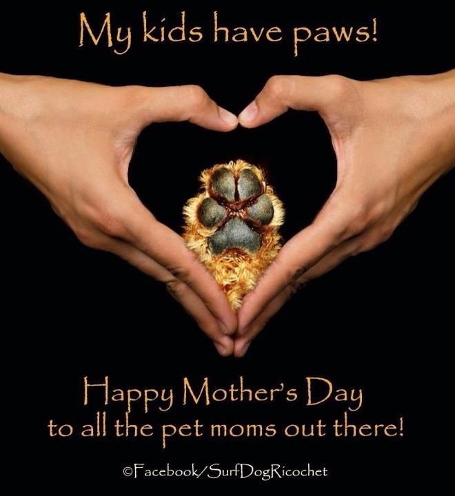 Happy Mother’s Day to all moms out there-human & furry moms!! 
