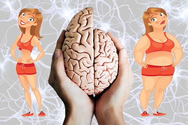 Мозг Против Лишнего Веса Читать Онлайн