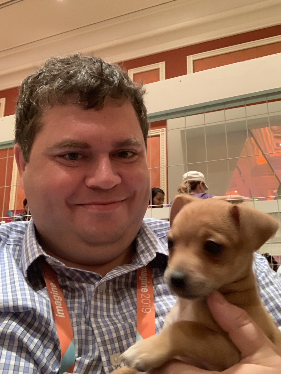 piotrekkaminski: Join the puppy queue to pet some #magepuppies #barkgento #MagentoImagine https://t.co/RqzuP7SwZN