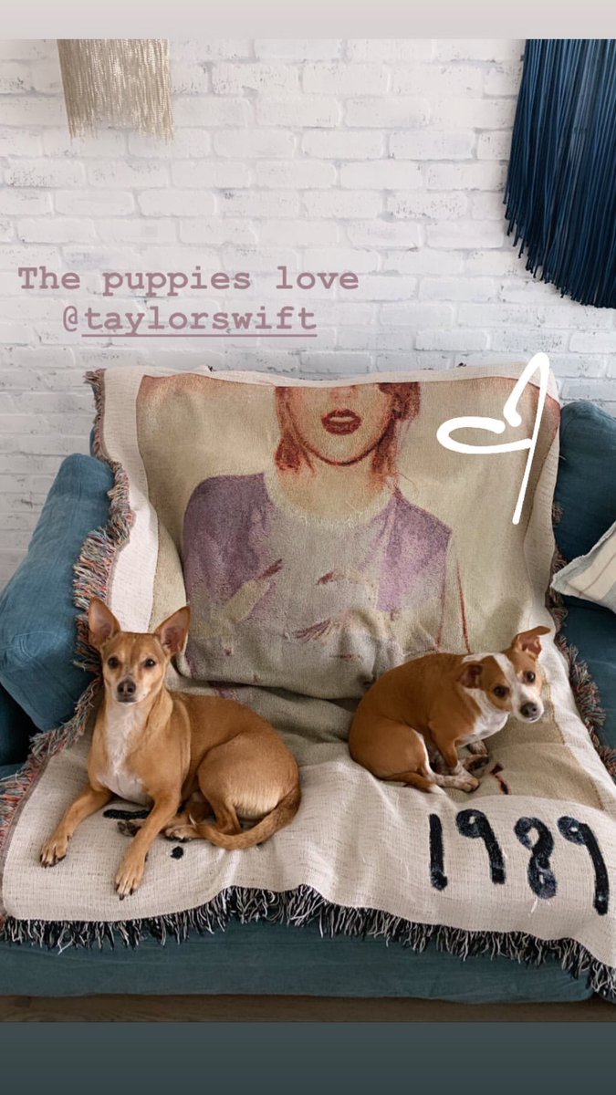 The puppies like me love them some @taylorswift13 #swifities https://t.co/LmKuB82088