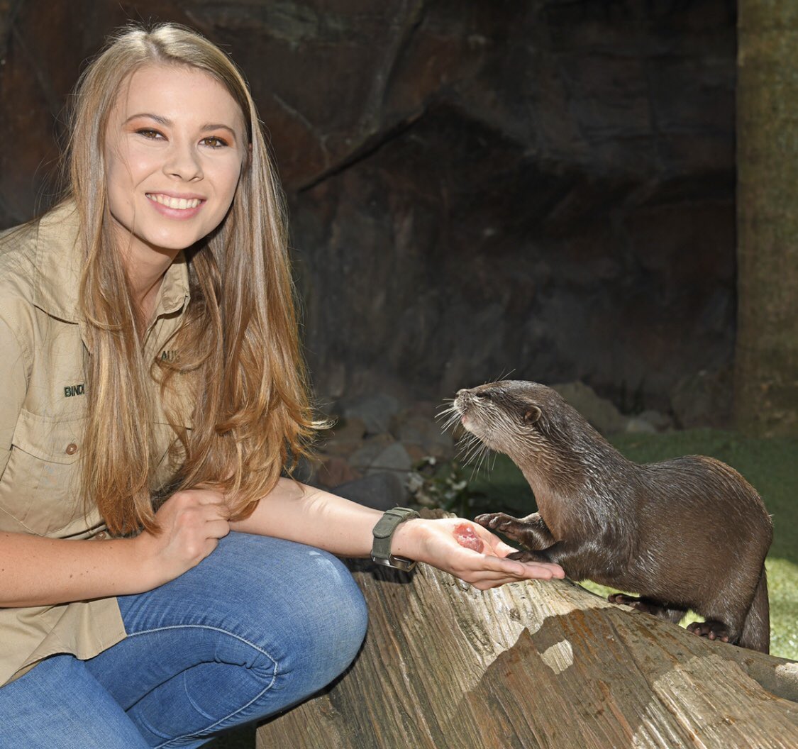 RT @TerriIrwin: Celebrate with our otters @AustraliaZoo!
#WorldOtterDay https://t.co/fX9BnzUpWT