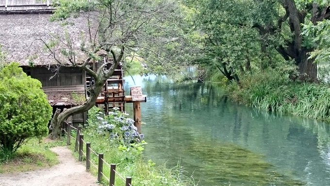 黒沢明監督の映画((夢))1990年の作品です信州安曇野は((夢))のラストシーンのロケ地。それは、大王わさび農園の片隅 黒沢明監督の映画((夢))1990年の作品です信州安曇野は((夢))のラストシーンのロケ地。それは、大王わさび農園の片隅