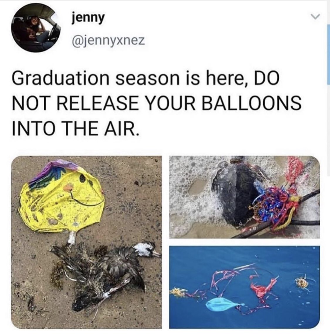 RT @green4EMA: Say no to balloons this graduation season ????‍???? #plasticpollution https://t.co/8QNZH7pqn3