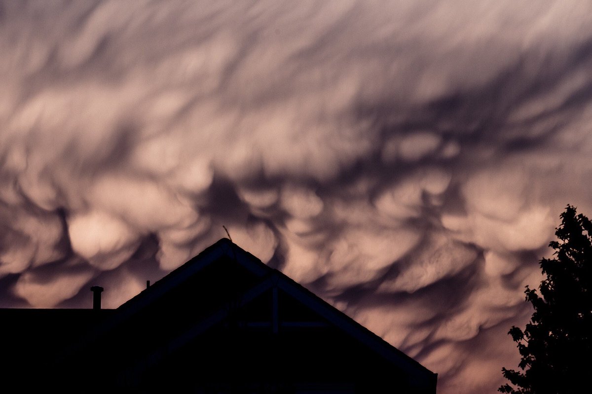 #cowx