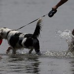 Svētdien gaisa temperatūra pakāpsies līdz +28 grādiem Svētdien gaisa temperatūra pakāpsies līdz +28 grādiem