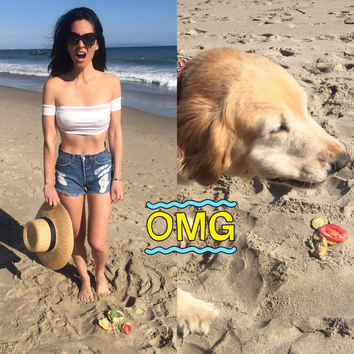 When a bird knocks down your sandwich and then a dog runs up and eats it. #lifesabeach https://t.co/zdRfh7xk9Z