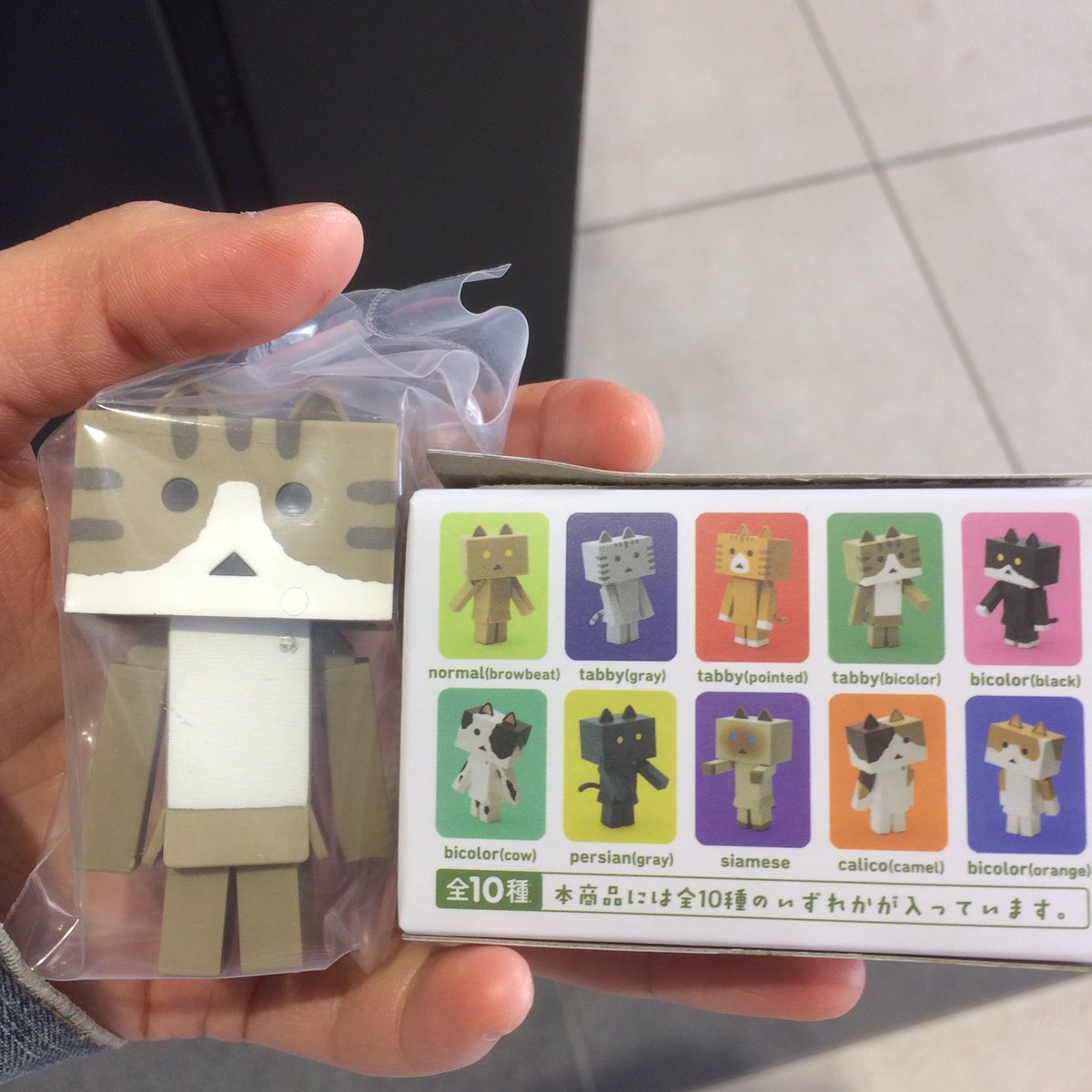 にゃんぼーかわいい にゃんぼーかわいい