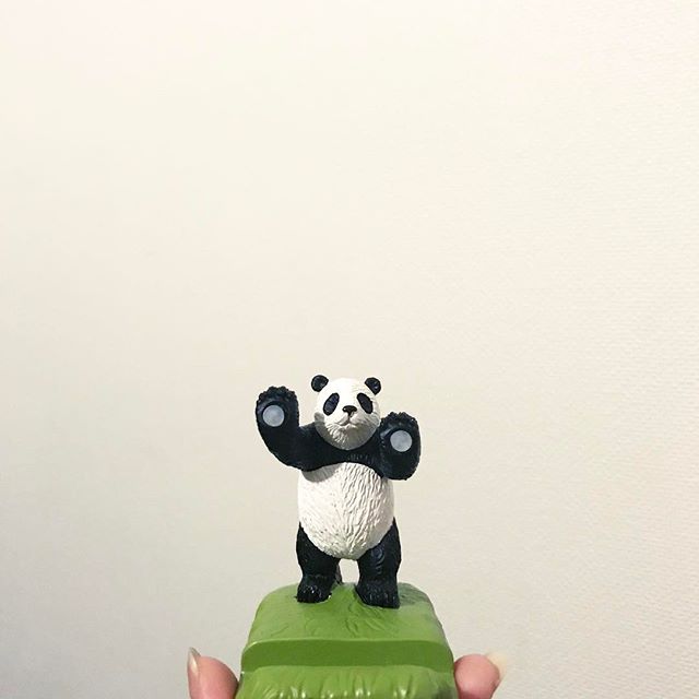 #PANDA今日からこの子にKindle託します。さっきまで、すべてがFになるを見てました。 #スマホスタンド #mo #PANDA今日からこの子にKindle託します。さっきまで、すべてがFになるを見てました。 #スマホスタンド #mo