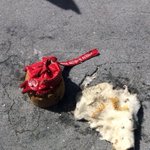 Debris found from plane missing in Bahamas; search continues Debris found from plane missing in Bahamas; search continues