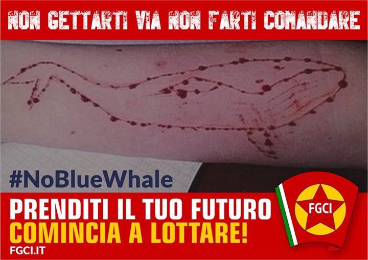 #BlueWhale