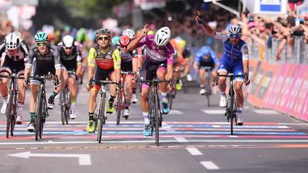Gaviria