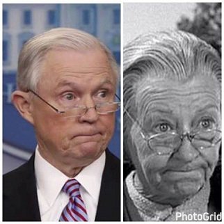 #CastTrumpTheMovie