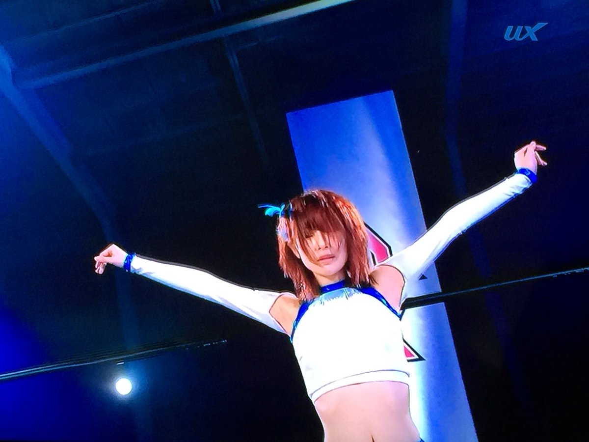 これにしか見えなかった#豆腐プロレス#聖闘士星矢#高柳明音#白鳥座氷河 これにしか見えなかった#豆腐プロレス#聖闘士星矢#高柳明音#白鳥座氷河