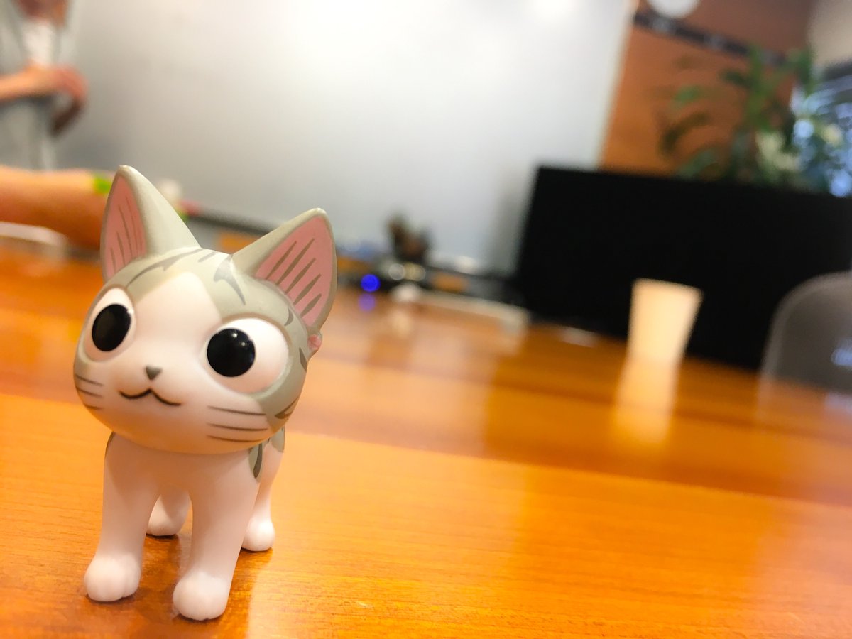 みんな シンケンに おはなしちゅうれす! チー おりこうさんだから しずかにまてるもーん!!#こねこのチー #チーズスイ みんな シンケンに おはなしちゅうれす! チー おりこうさんだから しずかにまてるもーん!!#こねこのチー #チーズスイ