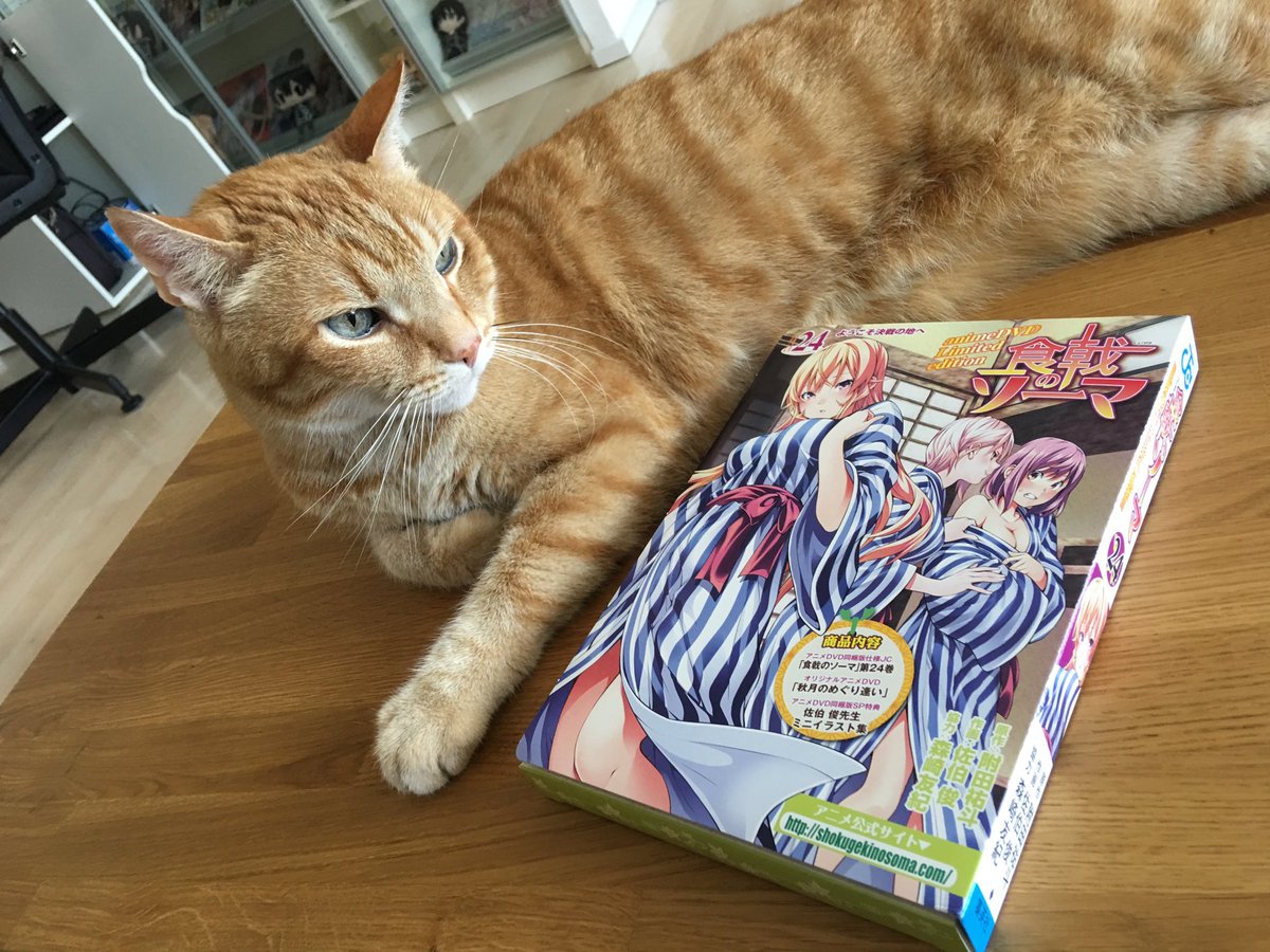 食戟のソーマ 24を貰った!OVAと小さなアートブックが付いてた!アートブックが大好きです!大きなのも欲しいですよ!!! 食戟のソーマ 24を貰った!OVAと小さなアートブックが付いてた!アートブックが大好きです!大きなのも欲しいですよ!!!