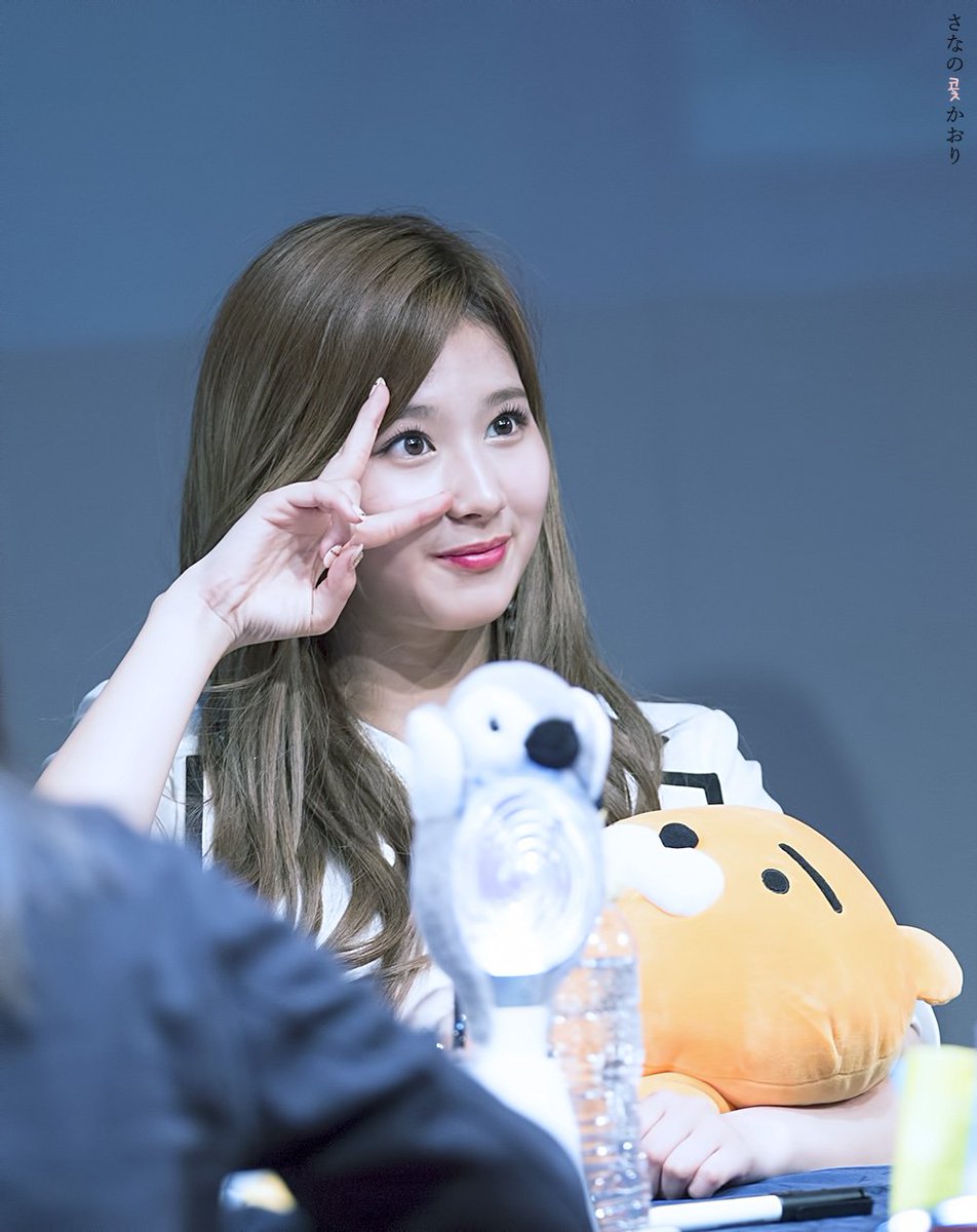 트와이스 TWICE 사나 SANA 정연 출국 미나 scent_sana