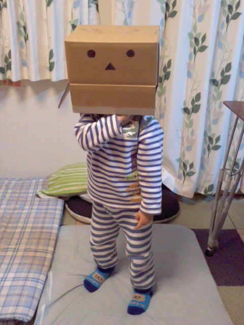 #うちの子どうしてこうなった選手権 #にゃんぼー! 大好き#worldorder 大好き#文字 大好き#猫 大好きだし #うちの子どうしてこうなった選手権 #にゃんぼー! 大好き#worldorder 大好き#文字 大好き#猫 大好きだし
