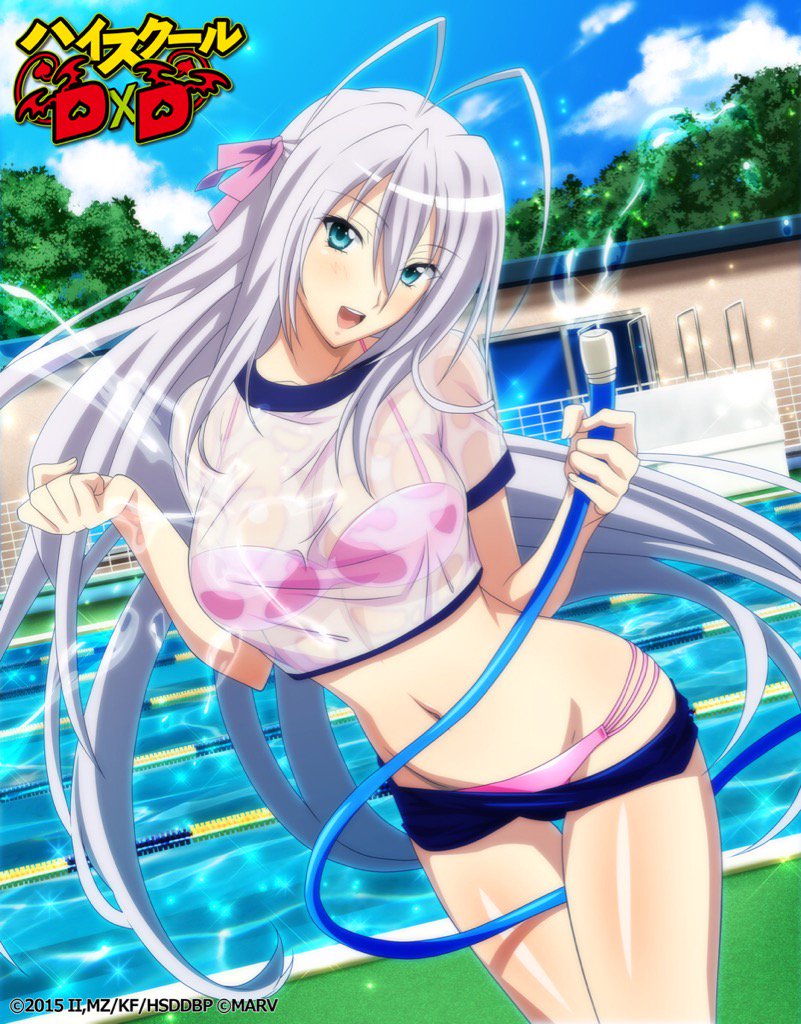 『ハイスクールD×D!新レアリティ『πレア』登場!!』をゲット! #ハッカドール 『ハイスクールD×D!新レアリティ『πレア』登場!!』をゲット! #ハッカドール
