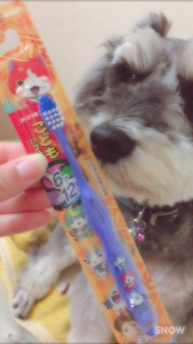 わぁ~✨僕の好きな妖怪ウォッチだ~!あ~😳弟みたいでかわいい🙈 わぁ~✨僕の好きな妖怪ウォッチだ~!あ~😳弟みたいでかわいい🙈
