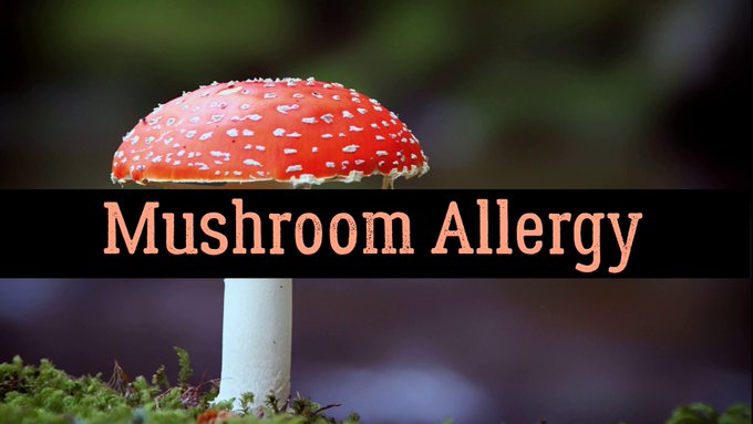 Mushroom #Allergy – Causes, Symptoms, Prevention, And Treatment https://t.co/HxB1ydPFEV https://t.co/1G2pUJg9wX