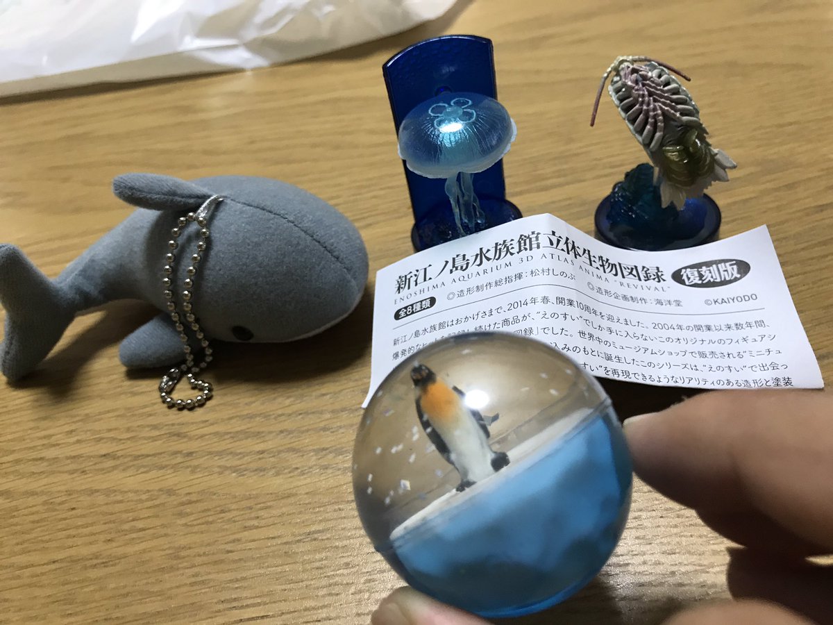 えのすいで買ったもの。1回500円の取れるまで遊べるクレゲでグソクムシの隣にいた欲しくもない鮫を手に入れ、小学生に混じっ えのすいで買ったもの。1回500円の取れるまで遊べるクレゲでグソクムシの隣にいた欲しくもない鮫を手に入れ、小学生に混じっ