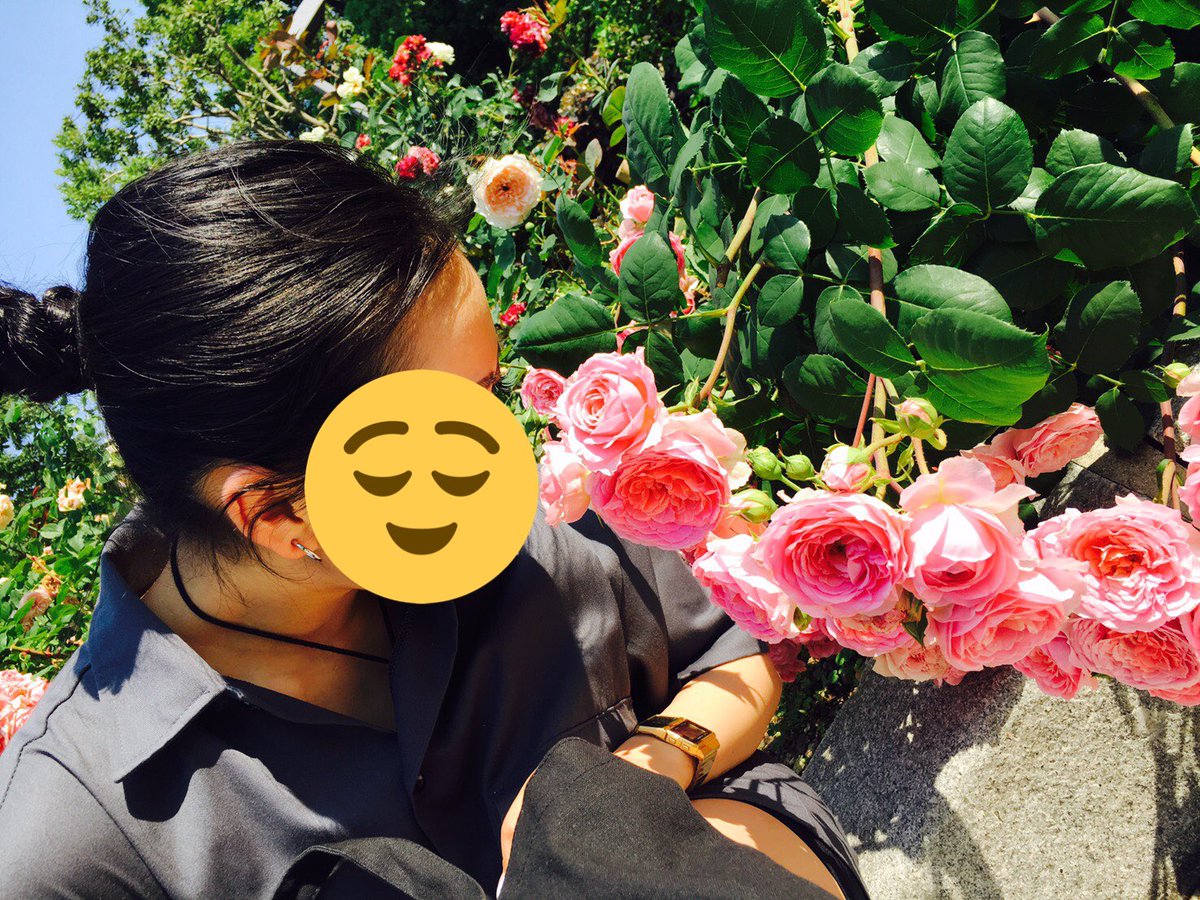 薔薇に埋もれるギャングスタの写真です 薔薇に埋もれるギャングスタの写真です