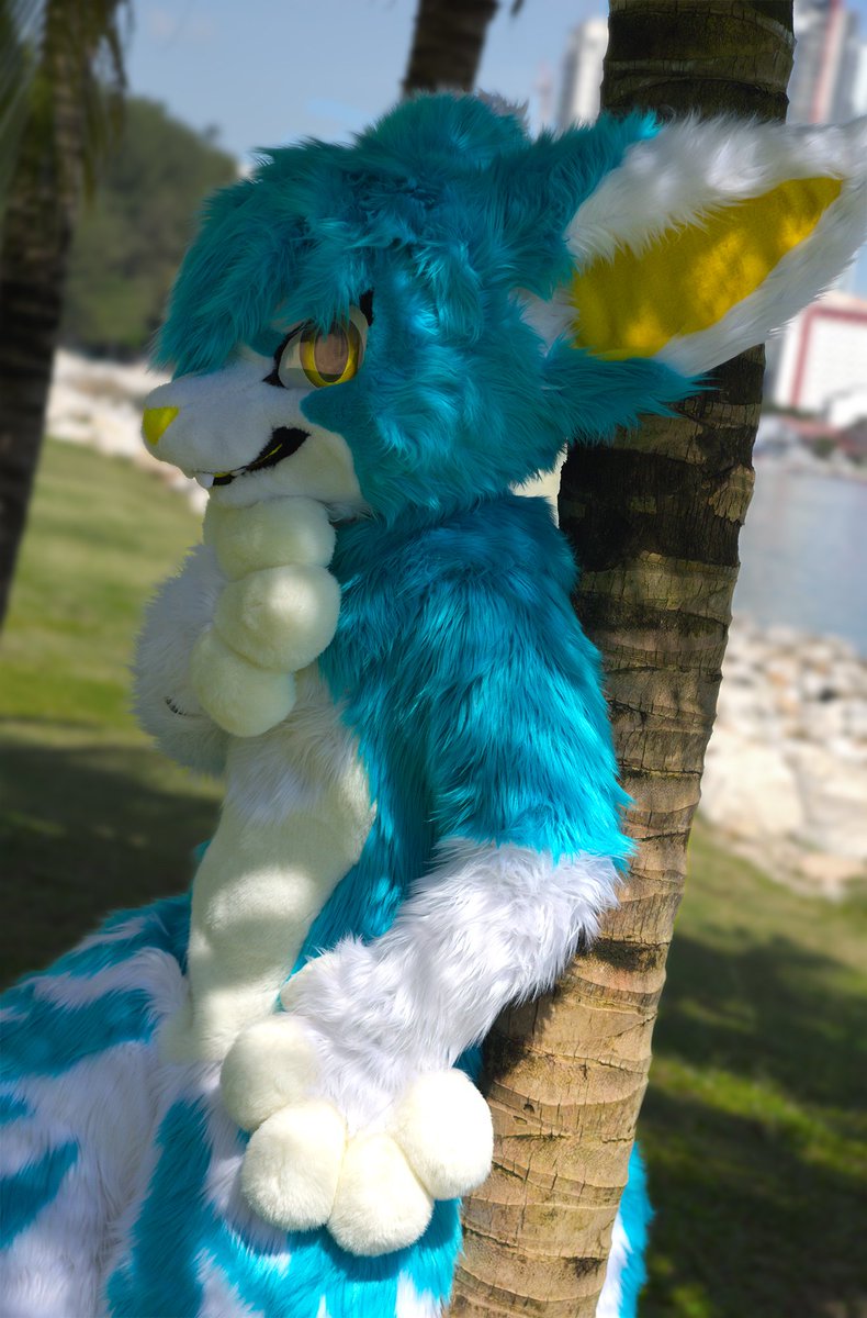 #FursuitFriday