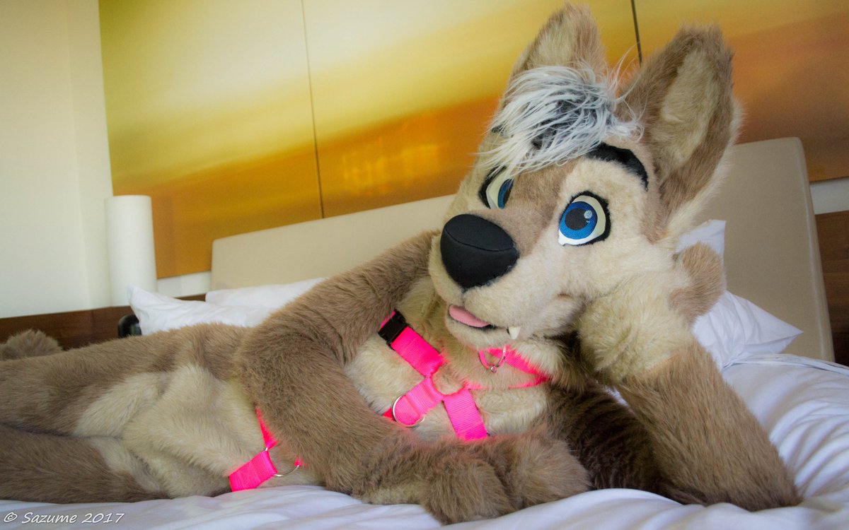 #FursuitFriday