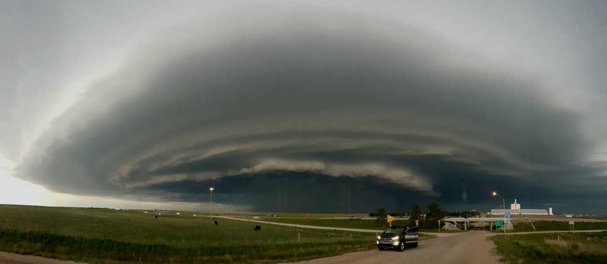 #cowx
