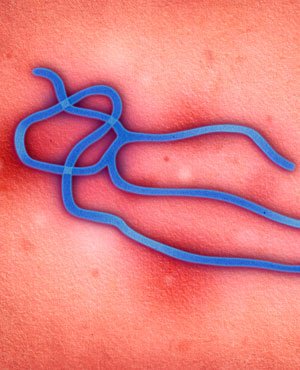 DRC authorises trial of experimental Ebola vaccine