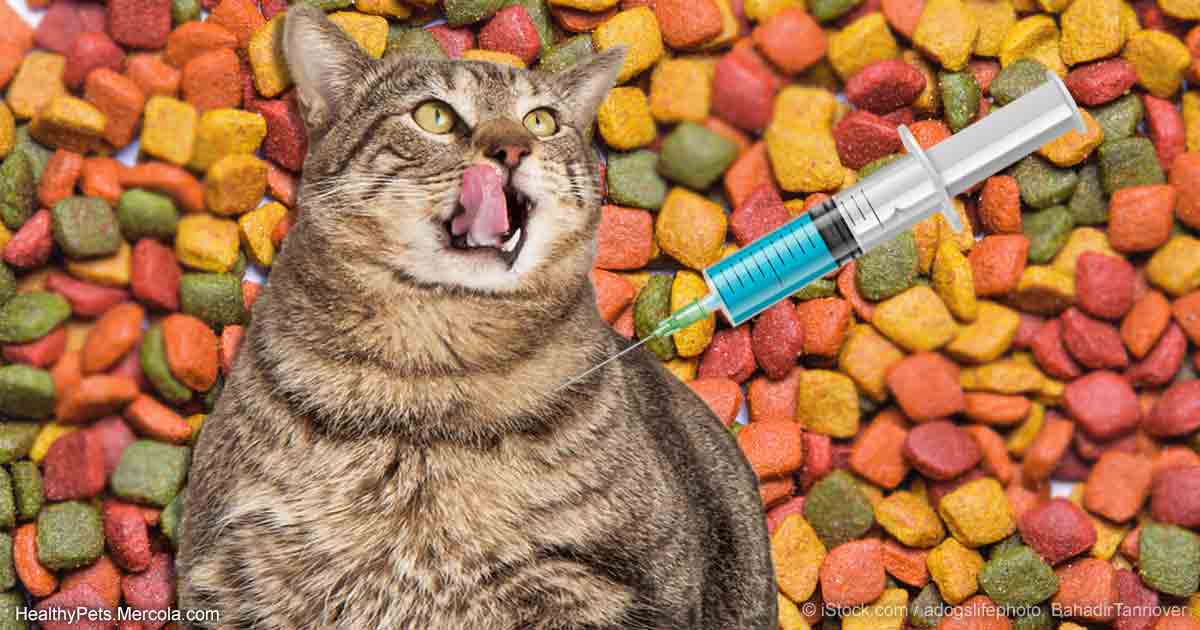 #catdietkibble This Feeding Mistake Could Make Your Pet a  Diabetes Magnet https://t.co/Mq6luOkNuv by @drkarenbecker https://t.co/myHa8Auuxe