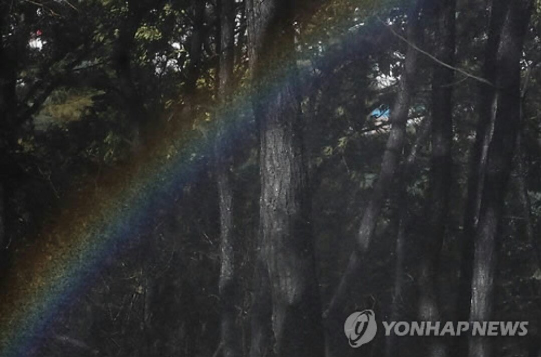 수락산 산불 서울 진화 화재 상계동 시절에 1mg71001