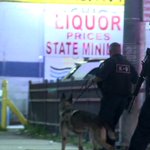 Video shows man suspected of taking weapons after attempted robbery, shooting of Detroit officer
