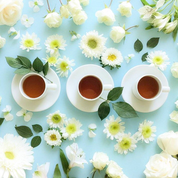 Hey there pretty morning..... #CoffeeLover #ImAwakeNow #AnyoneElse (☕️+ ???? inspo via #Instagram #ack_bos) https://t.co/O2uBJJUkRW
