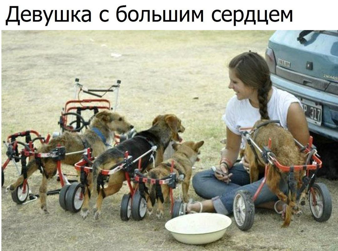 Не идти на поводу у своими руками Не идти на поводу у своими руками