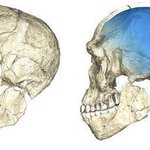 This is us: Earliest fossils of our species found in Morocco This is us: Earliest fossils of our species found in Morocco