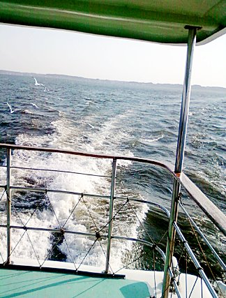 霞ヶ浦( = Lake Kasumigaura)を遊覧船が駆け巡る体験 ... ちなみに京成電鉄(遊覧船旧経営母体)の元 霞ヶ浦( = Lake Kasumigaura)を遊覧船が駆け巡る体験 ... ちなみに京成電鉄(遊覧船旧経営母体)の元