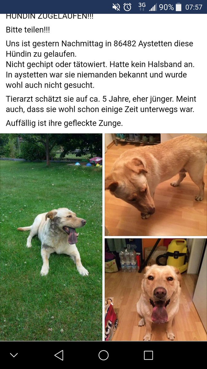 Hund