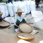 Mandalay to China rice exports dip Mandalay to China rice exports dip