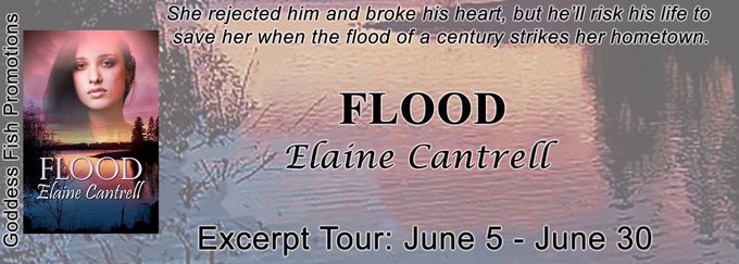 Flood by Elaine Cantrell ❤️ Book Tour & Gift Card Giveaway ❤️ (Romantic Suspense) Flood by Elaine Cantrell ❤️ Book Tour & Gift Card Giveaway ❤️ (Romantic Suspense)