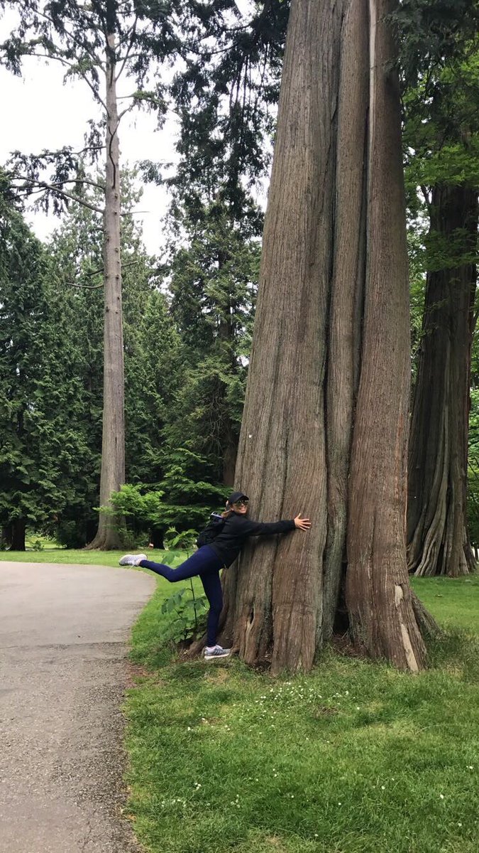 Good Morning from Vancouver ???????? #TreeHugger #Nature https://t.co/Jh31hACJHT